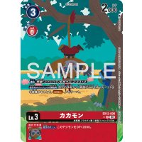 R-P)カカモン